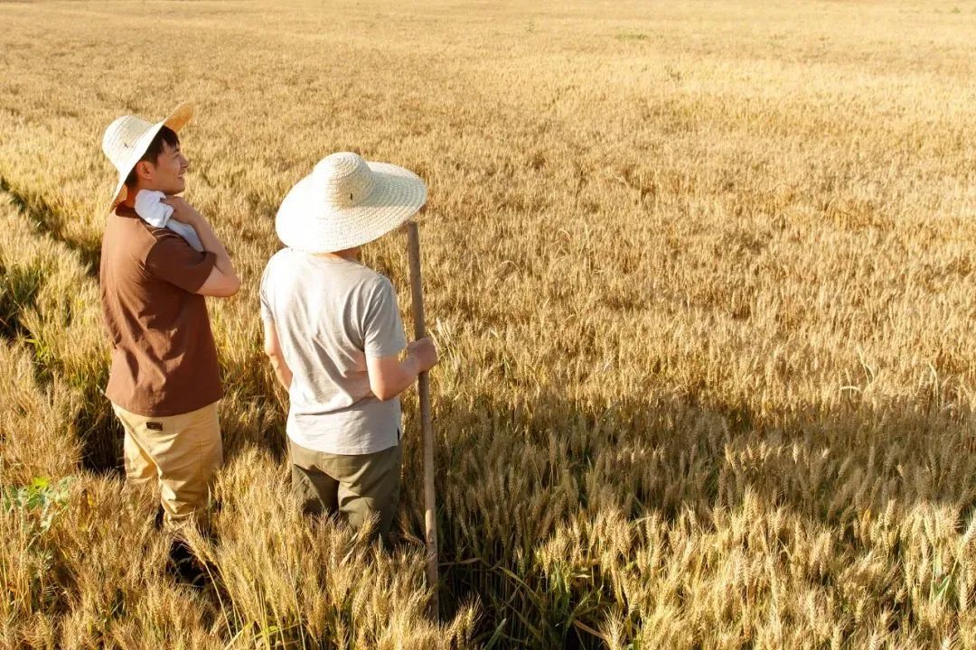 1100万人选择返乡，，，怎样助力他们做事创业？？？