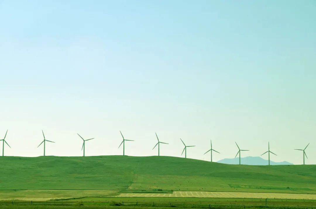 D0856B1E9B7F86B6B35A680CC1A_4105C2F3_95A1.jpeg?e=