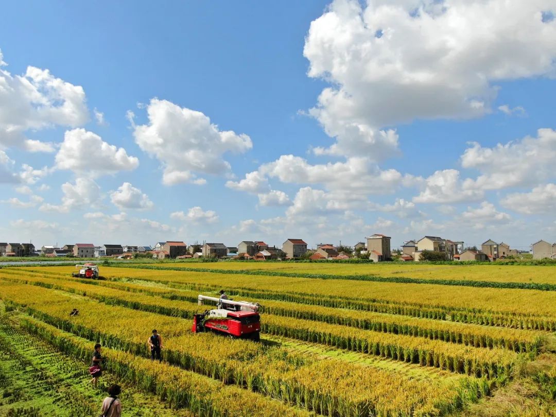 4F242210EE4CF01AF10AA2EADC7_BEDEAE77_27AB5