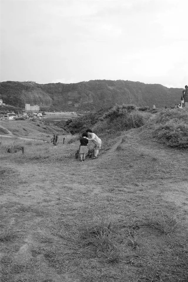 K8官网 - 天生赢家·一触即发