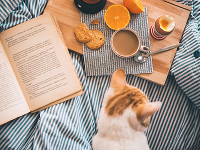 K8官网 - 天生赢家·一触即发