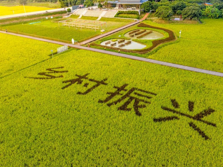 K8官网 - 天生赢家·一触即发