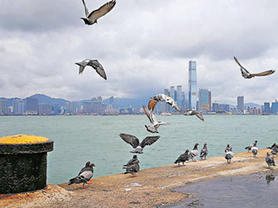 K8官网 - 天生赢家·一触即发