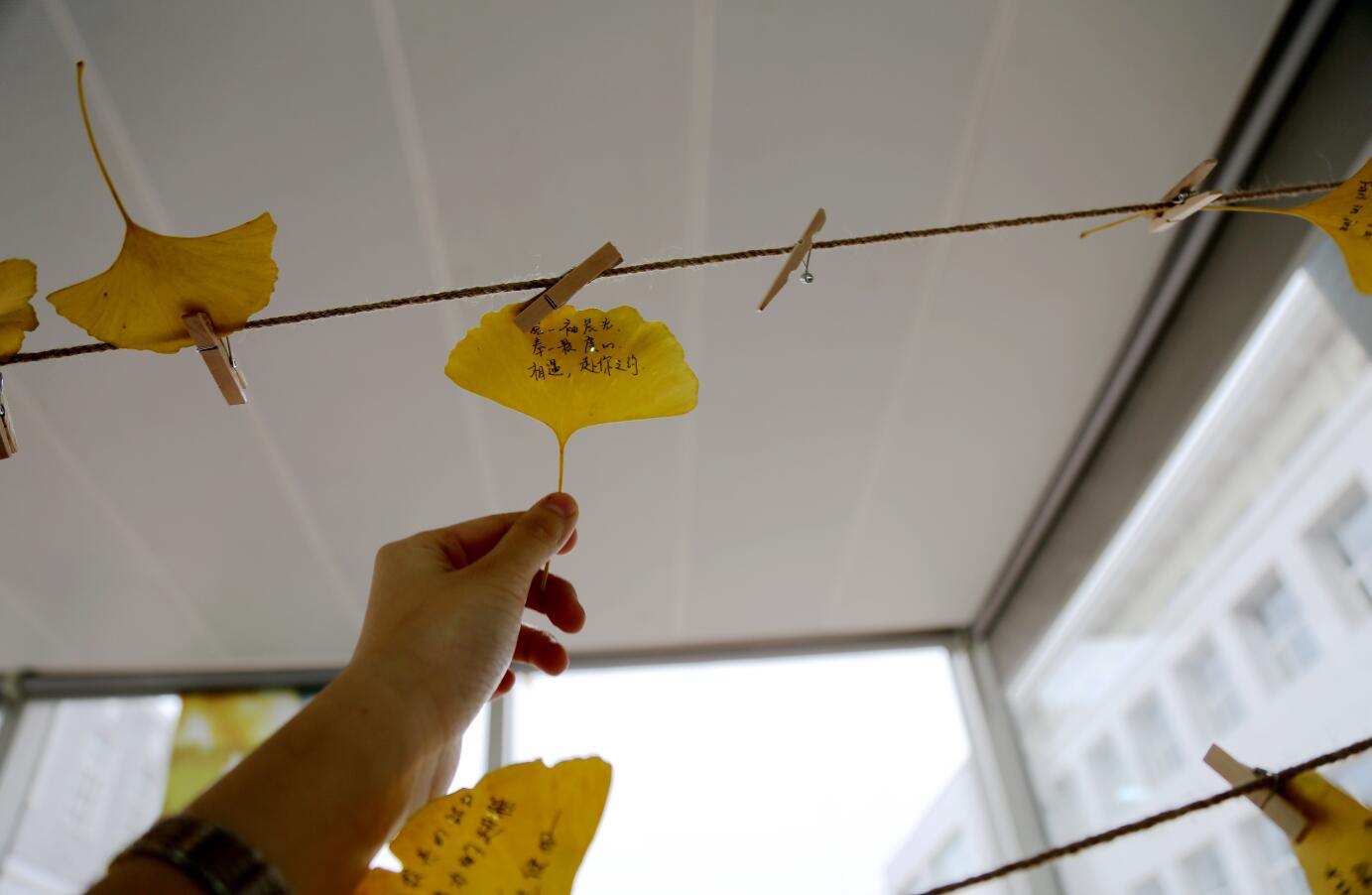 K8官网 - 天生赢家·一触即发