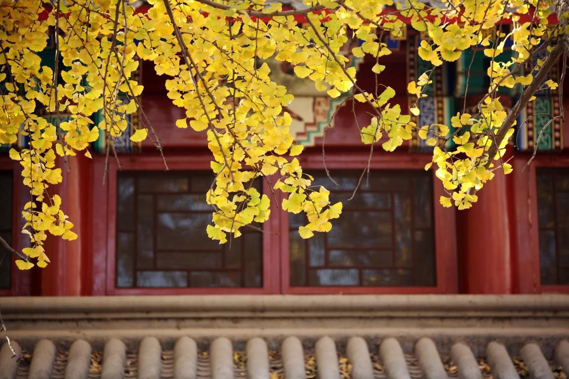 感动 | 确认过眼神，你是对的人