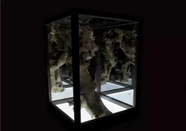 K8官网 - 天生赢家·一触即发