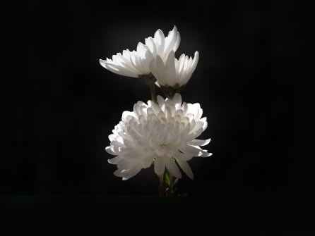 K8官网 - 天生赢家·一触即发