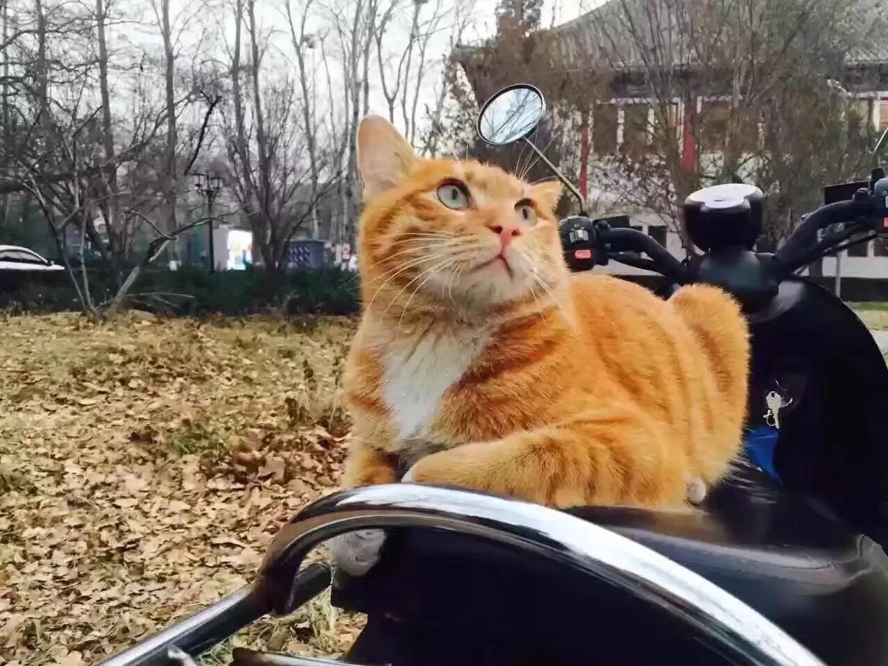 420FEA167E739EB121DF40EC16C_4E9F24CD_4B114