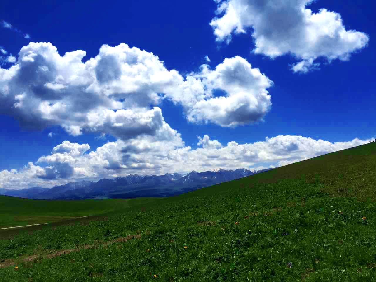 K8官网 - 天生赢家·一触即发