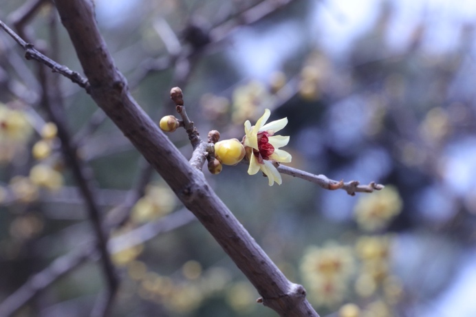 K8官网 - 天生赢家·一触即发