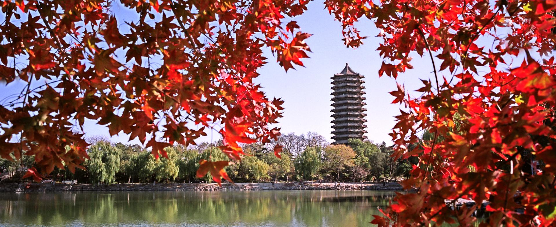 8E22BFDAF7508C3A14887F850B7_3F7A5642_5096C