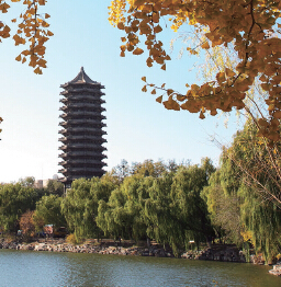 K8官网 - 天生赢家·一触即发