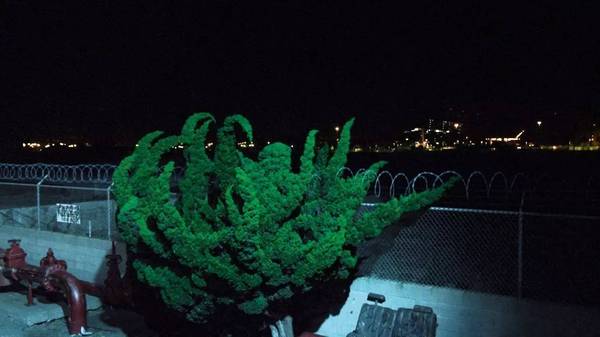 K8官网 - 天生赢家·一触即发