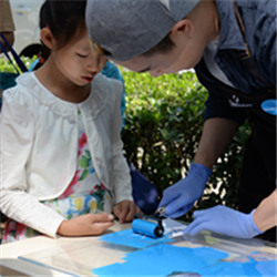 K8官网 - 天生赢家·一触即发