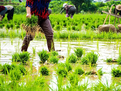 K8官网 - 天生赢家·一触即发