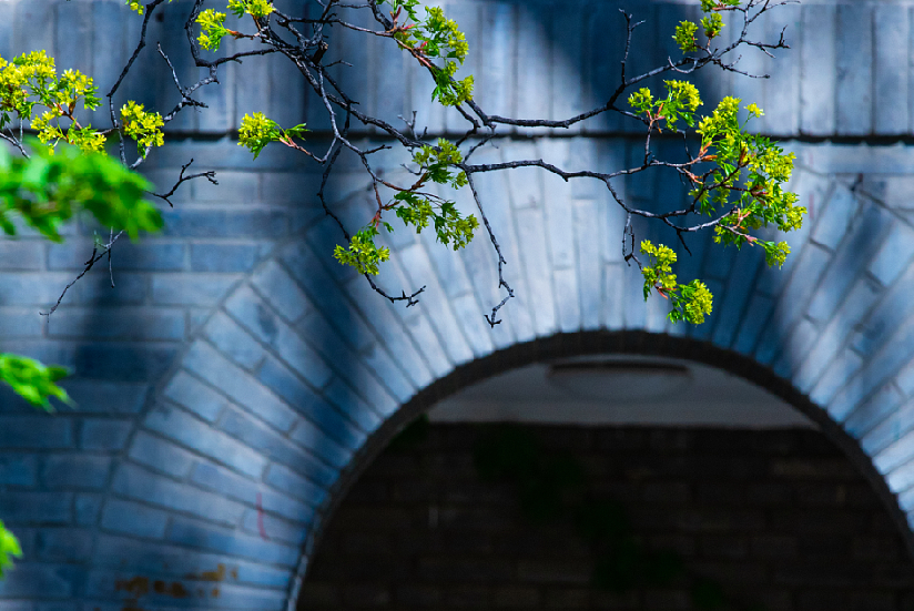 K8官网 - 天生赢家·一触即发