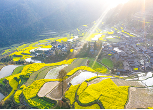 雷明：：：年轻人，，，回到家乡，，，让家乡重生
