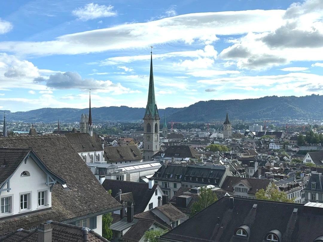 陶醉于湖光与山色，，，叹止于财产与立异|MBA国际商务方略@苏黎世