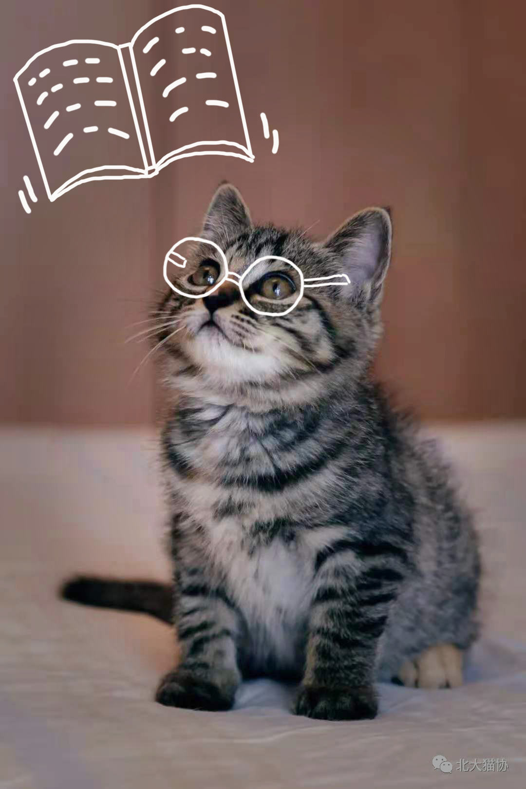 091A7F753E029E996C5BD631C93_46109163_10201D