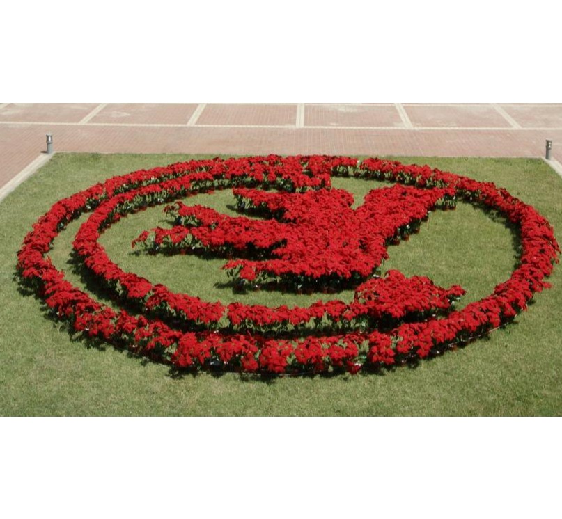 K8官网 - 天生赢家·一触即发