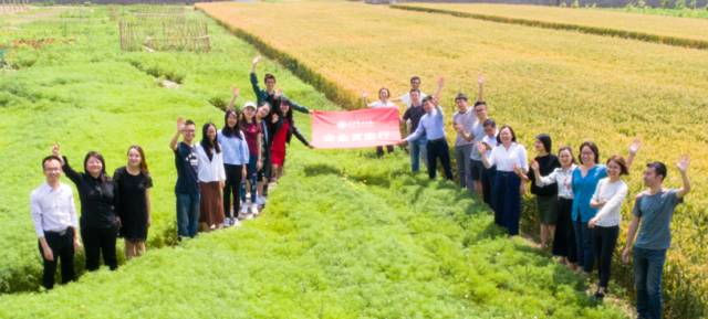 K8官网 - 天生赢家·一触即发