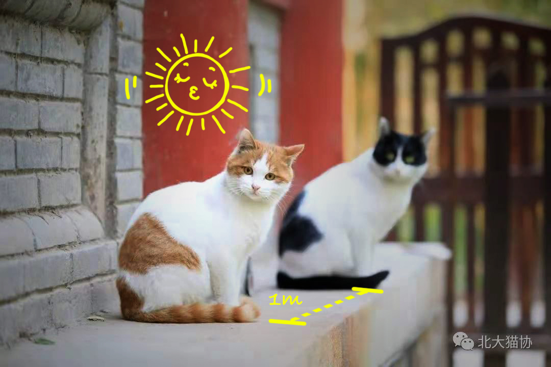 EF52AB908D451831F893648A32B_2E9E29E2_51294