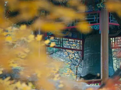 K8官网 - 天生赢家·一触即发