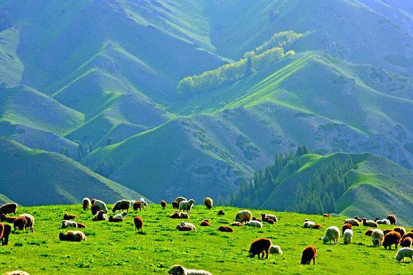 K8官网 - 天生赢家·一触即发