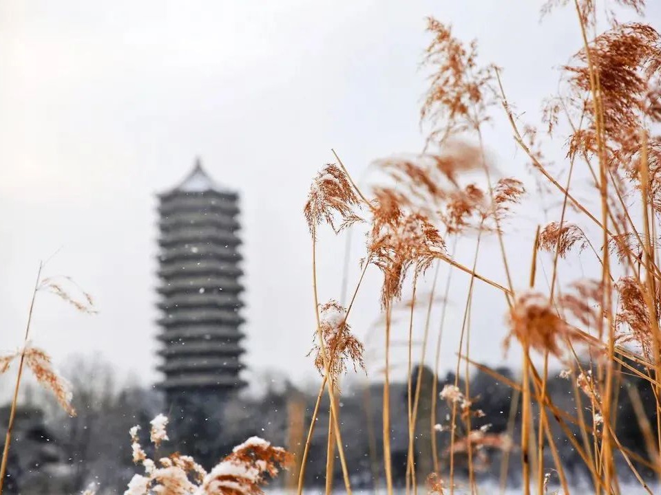 K8官网 - 天生赢家·一触即发