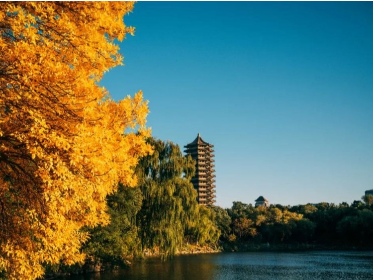 K8官网 - 天生赢家·一触即发