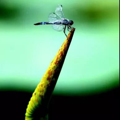 K8官网 - 天生赢家·一触即发