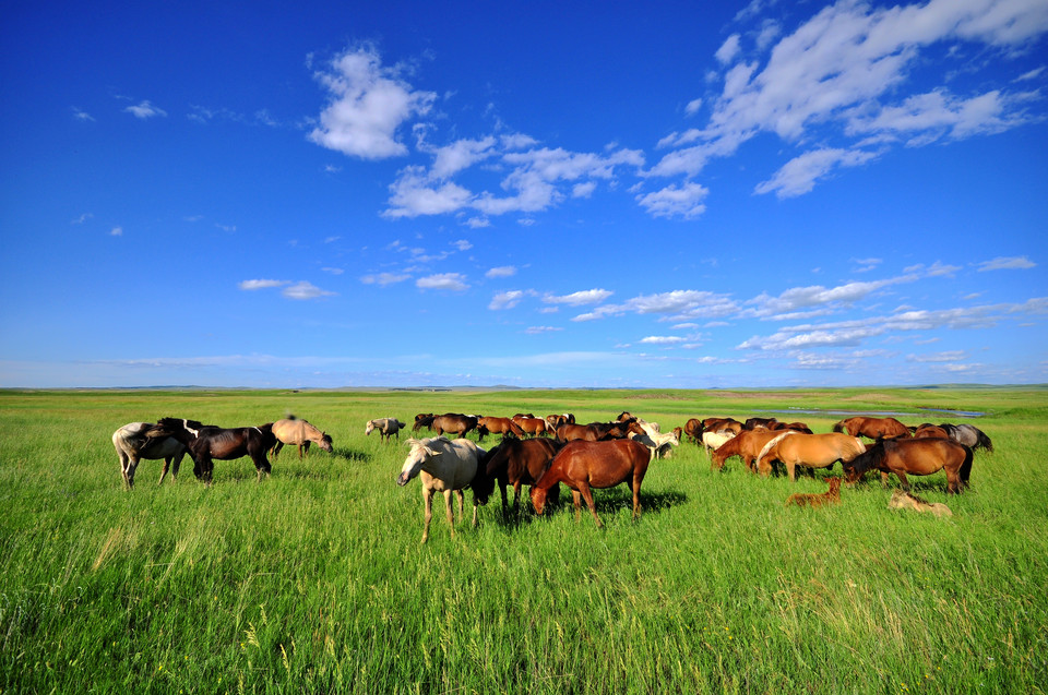 K8官网 - 天生赢家·一触即发