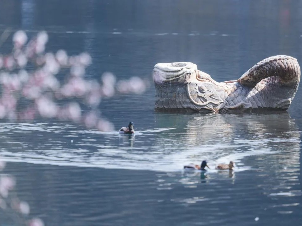 K8官网 - 天生赢家·一触即发