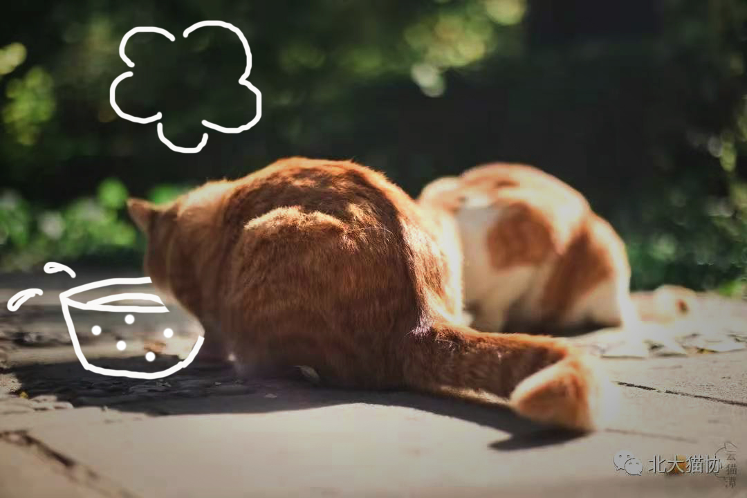 D05C443C58574D826E5B90D337B_A4D1FBBC_4A904