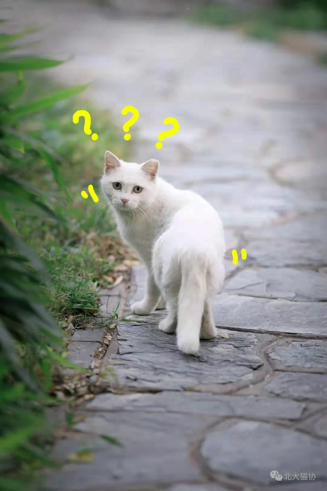 76736B8963D8030CC6EA75C1540_86F785CD_79C0A