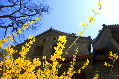 K8官网 - 天生赢家·一触即发