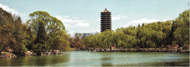 347FB96A13C384EED262688061C_4FC46B88_3DCC3