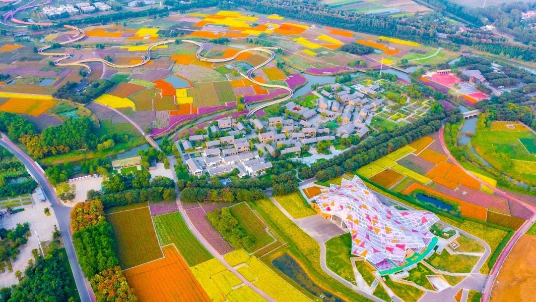 F9FFA4E1E3C990E134FA78F98CB_6BE0FA55_2D29A