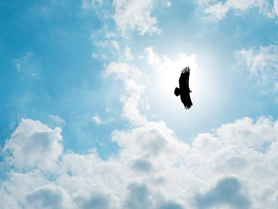 K8官网 - 天生赢家·一触即发