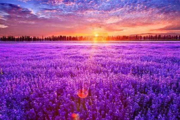 K8官网 - 天生赢家·一触即发