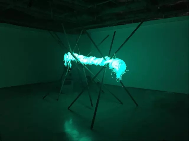 K8官网 - 天生赢家·一触即发