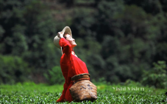 K8官网 - 天生赢家·一触即发