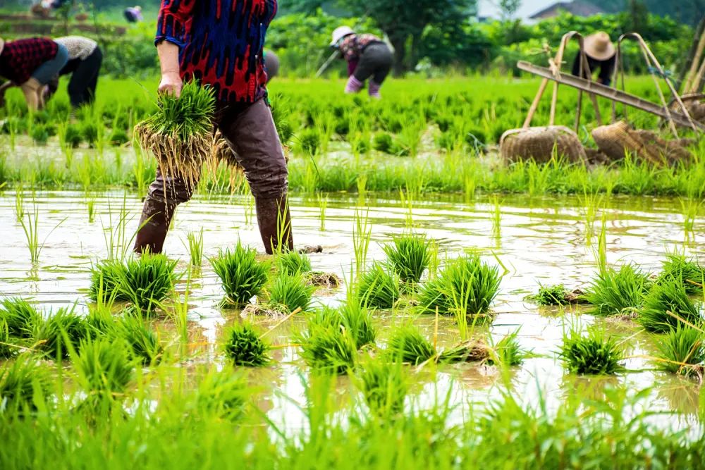 陈玉宇：：：被总理“点名”的6亿人在哪儿？