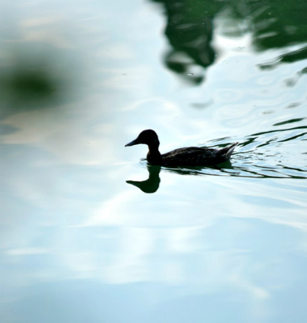 K8官网 - 天生赢家·一触即发