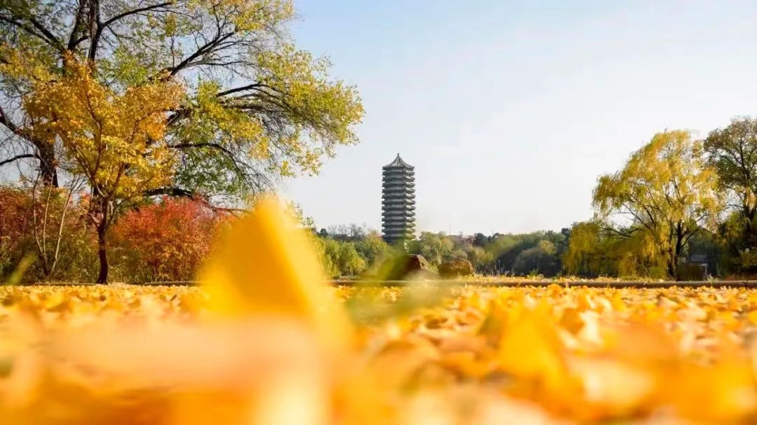 K8官网 - 天生赢家·一触即发