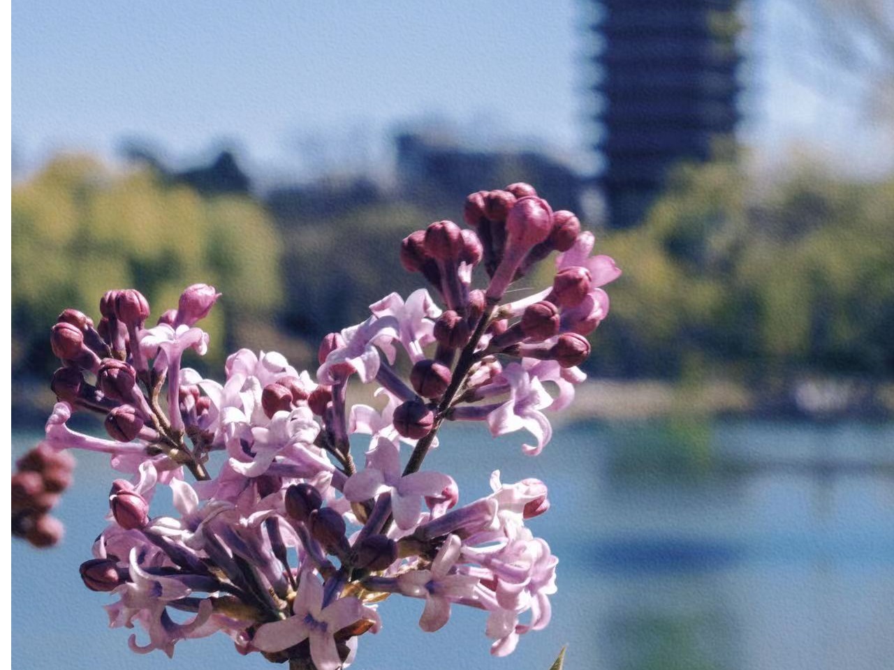 K8官网 - 天生赢家·一触即发