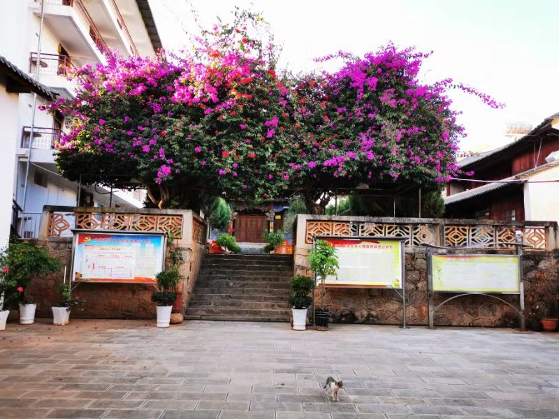 CC9FE26F8287050ECD4ECD9CB03_32753326_2210E