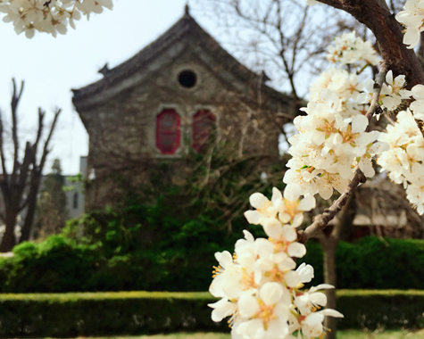 K8官网 - 天生赢家·一触即发