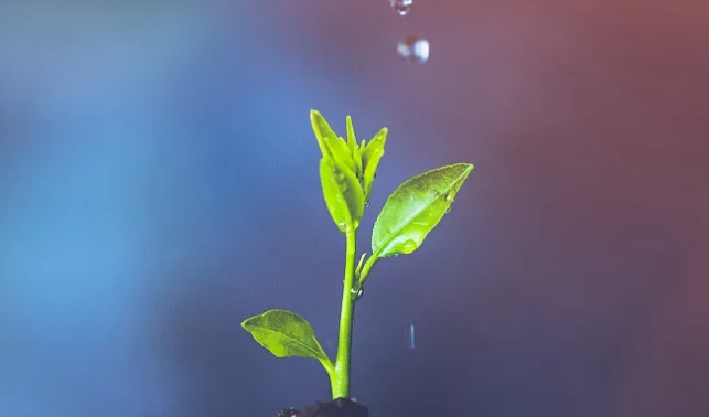 CD1669AE07B02CC501B21FA8B6F_BC278E0D_31A13